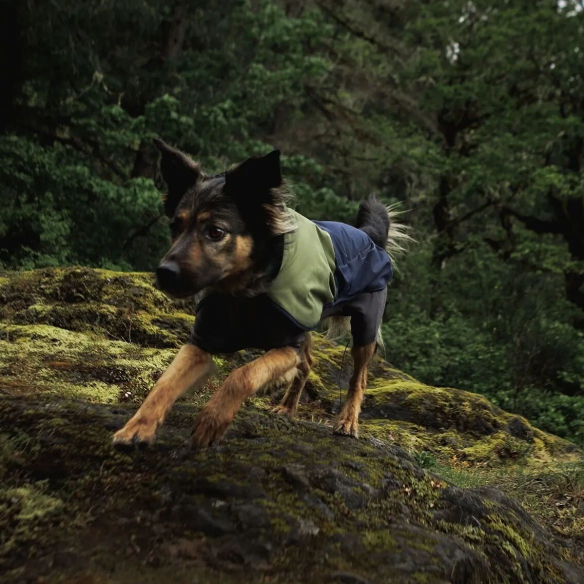 Ruffwear Sun Shower Coverall Hundoverall Mörkblå/Grön