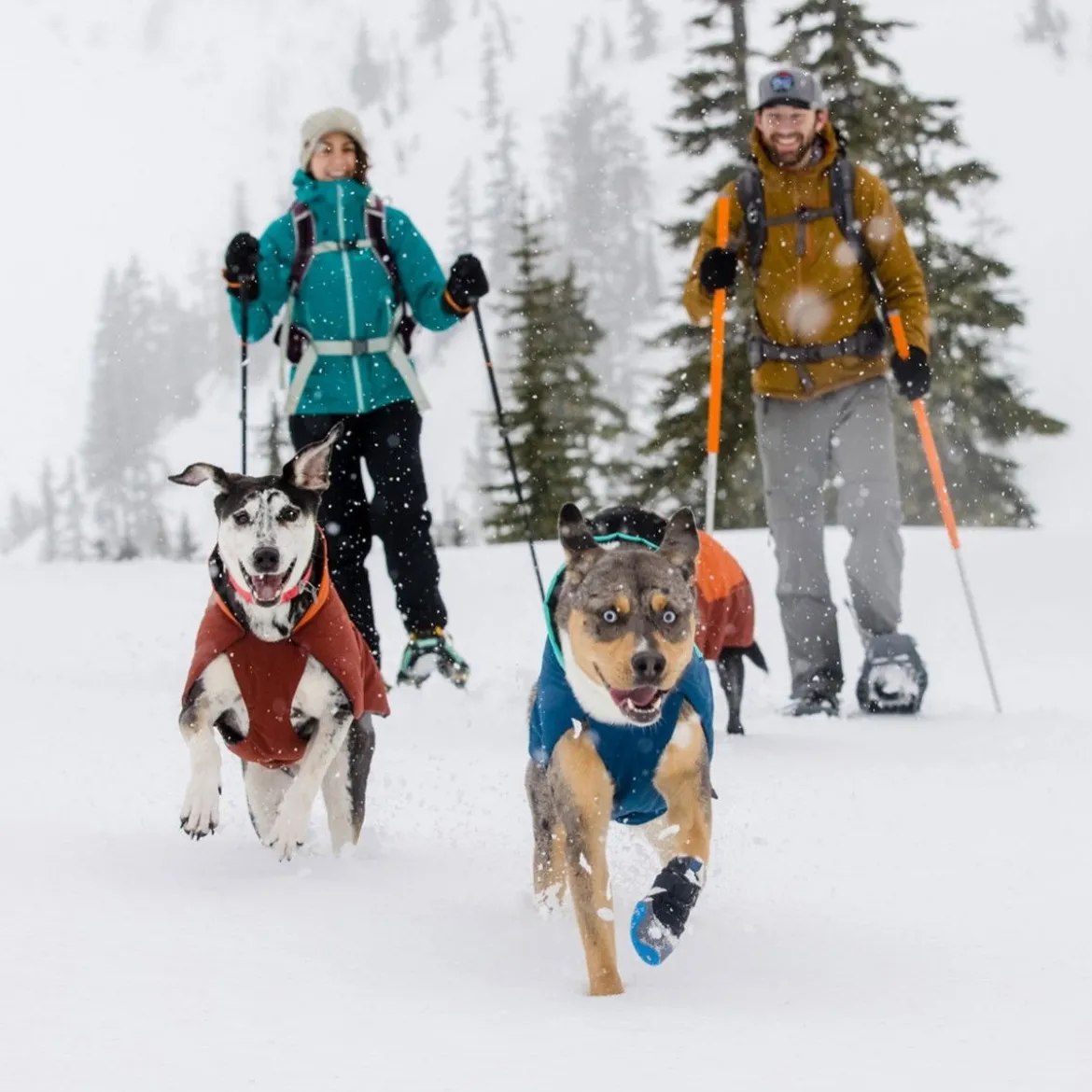 Ruffwear Vert Vintertäcke Blå