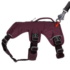 Ruffwear Web Master Hundsele Lila