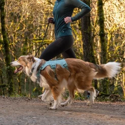 Ruffwear Web Master Hundsele Grön