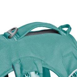 Ruffwear Web Master Hundsele Grön