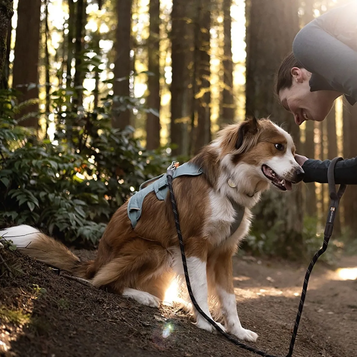 Ruffwear Web Master Hundsele Grön
