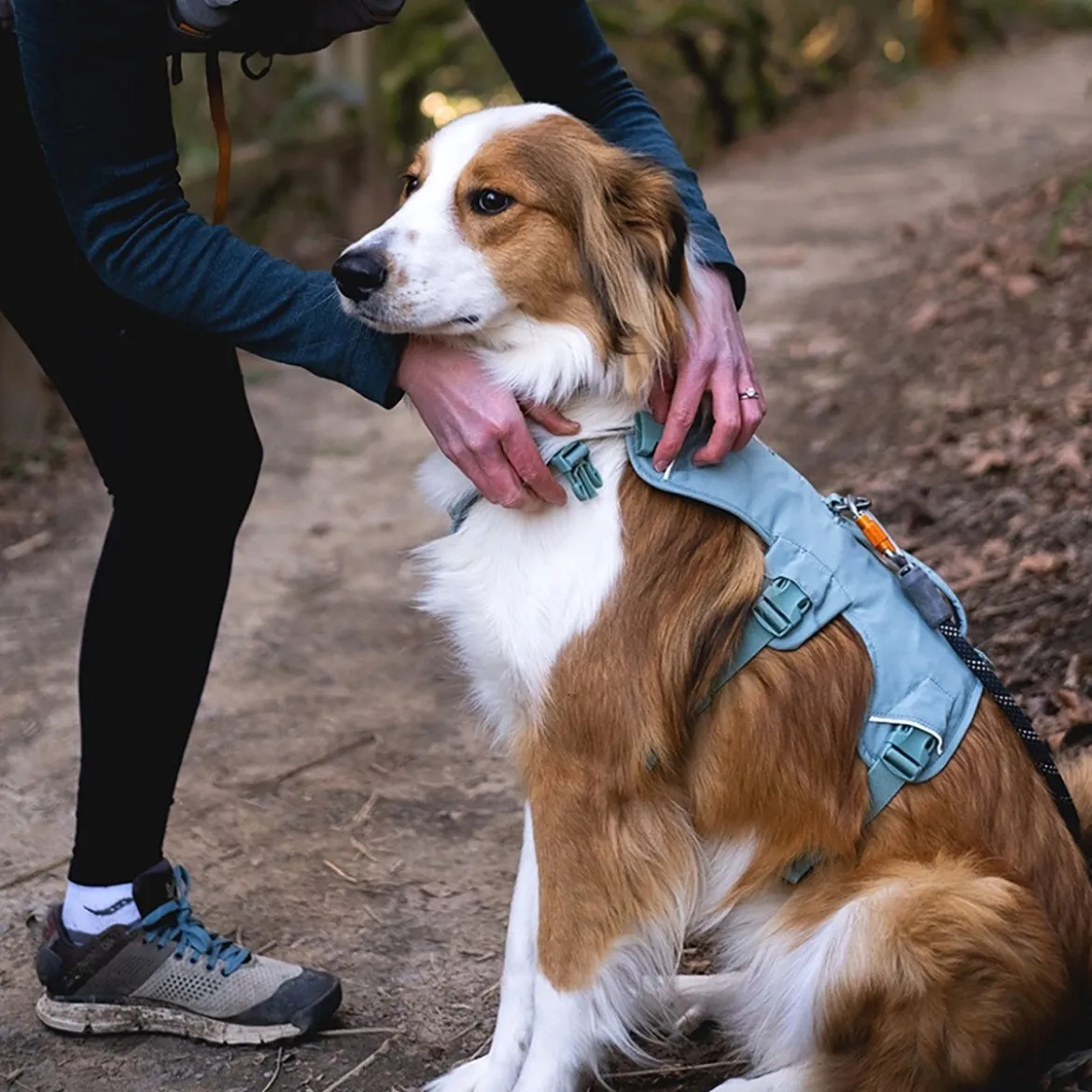 Ruffwear Web Master Hundsele Grön
