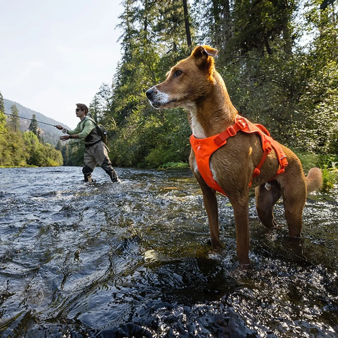 Ruffwear Web Master Hundsele Orange