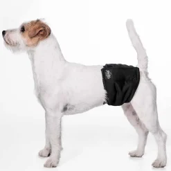 RuttuNuttu Skvättskydd för Hanhund Svart