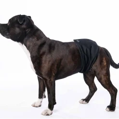 RuttuNuttu Skvättskydd för Hanhund Svart