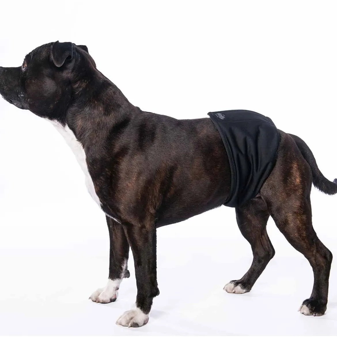 RuttuNuttu Skvättskydd för Hanhund Svart