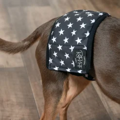 RuttuNuttu Skvättskydd för Hanhund Svart med Stjärnor