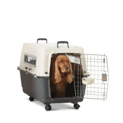 Savic Andes Flygbur/Transportbur