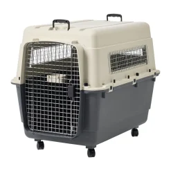 Savic Andes Flygbur/Transportbur