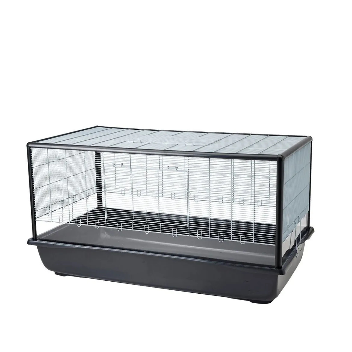 Savic Aura Plexi 120 Bur till Små Gnagare