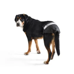 Savic Comfort Nappy Hundblöja 12 st
