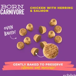 Schesir Born Carnivore Chicken & Herring