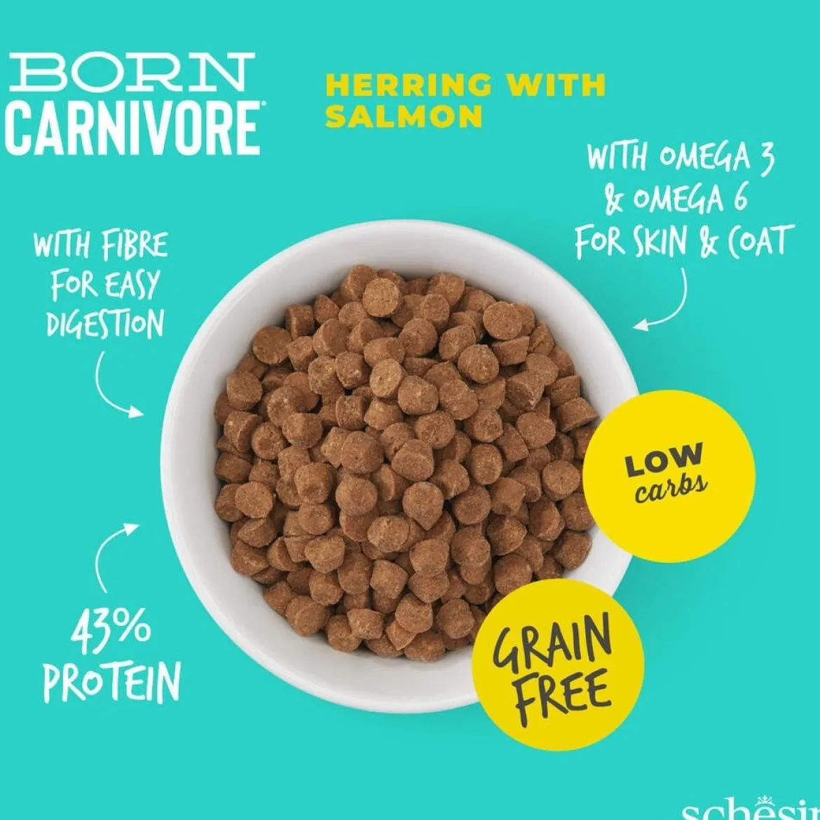 Schesir Born Carnivore Herring & Salmon