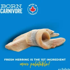 Schesir Born Carnivore Herring & Salmon