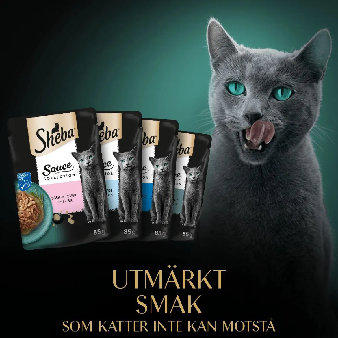 Sheba Sauce Collection Fiskmeny Våtfoder till Katt 40x85 g