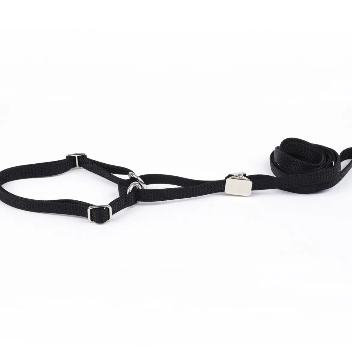 Show Dog Utställningskoppel med Halsband Halvstryp Svart