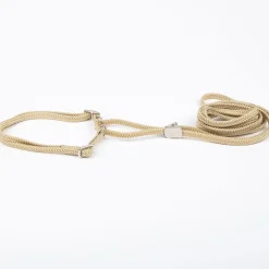 Show Dog Utställningskoppel med Halsband Halvstryp Beige
