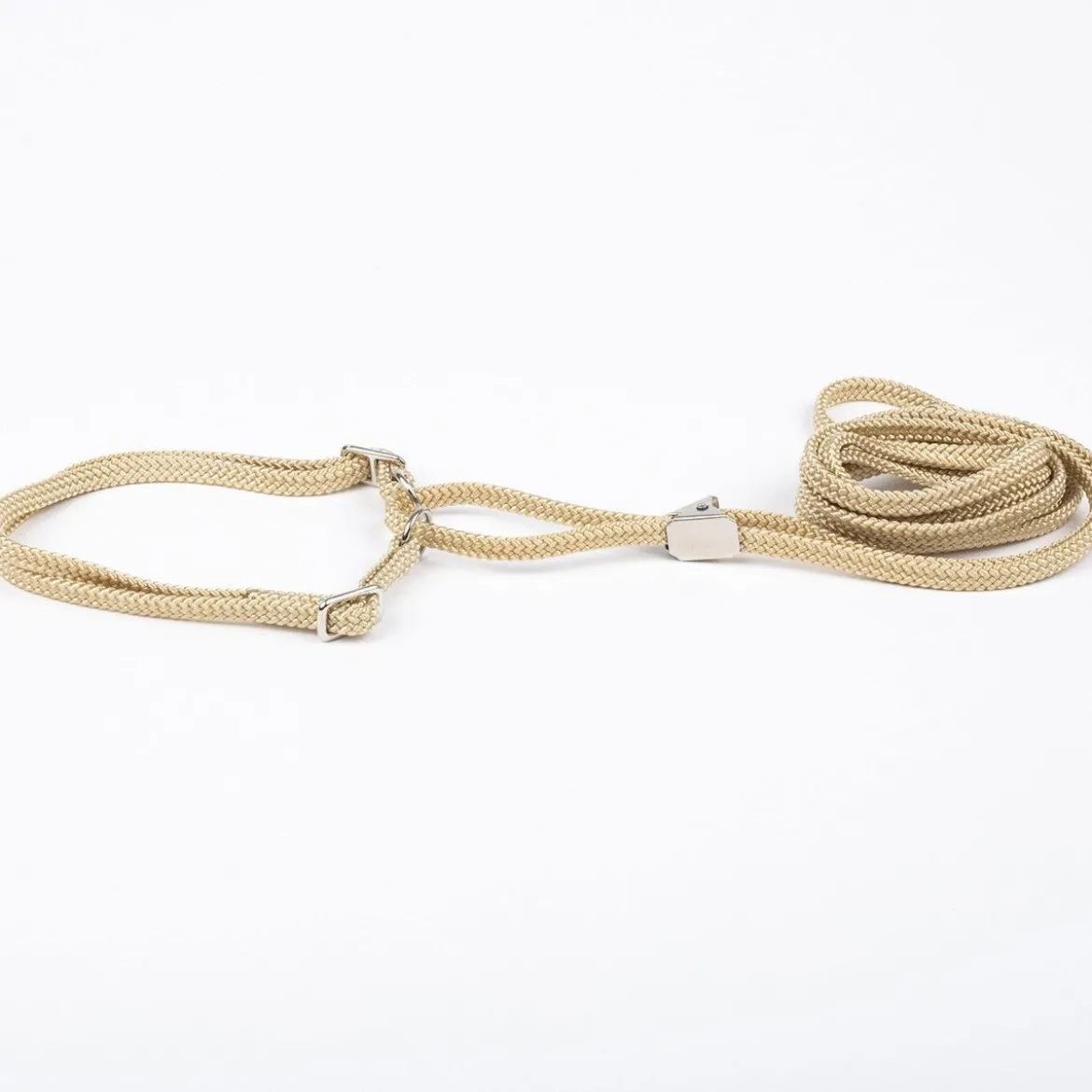 Show Dog Utställningskoppel med Halsband Halvstryp Beige