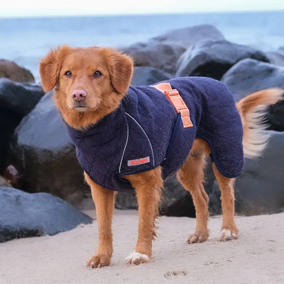 Siccaro Supreme 2.0 Badrock till Hund Mörkblå