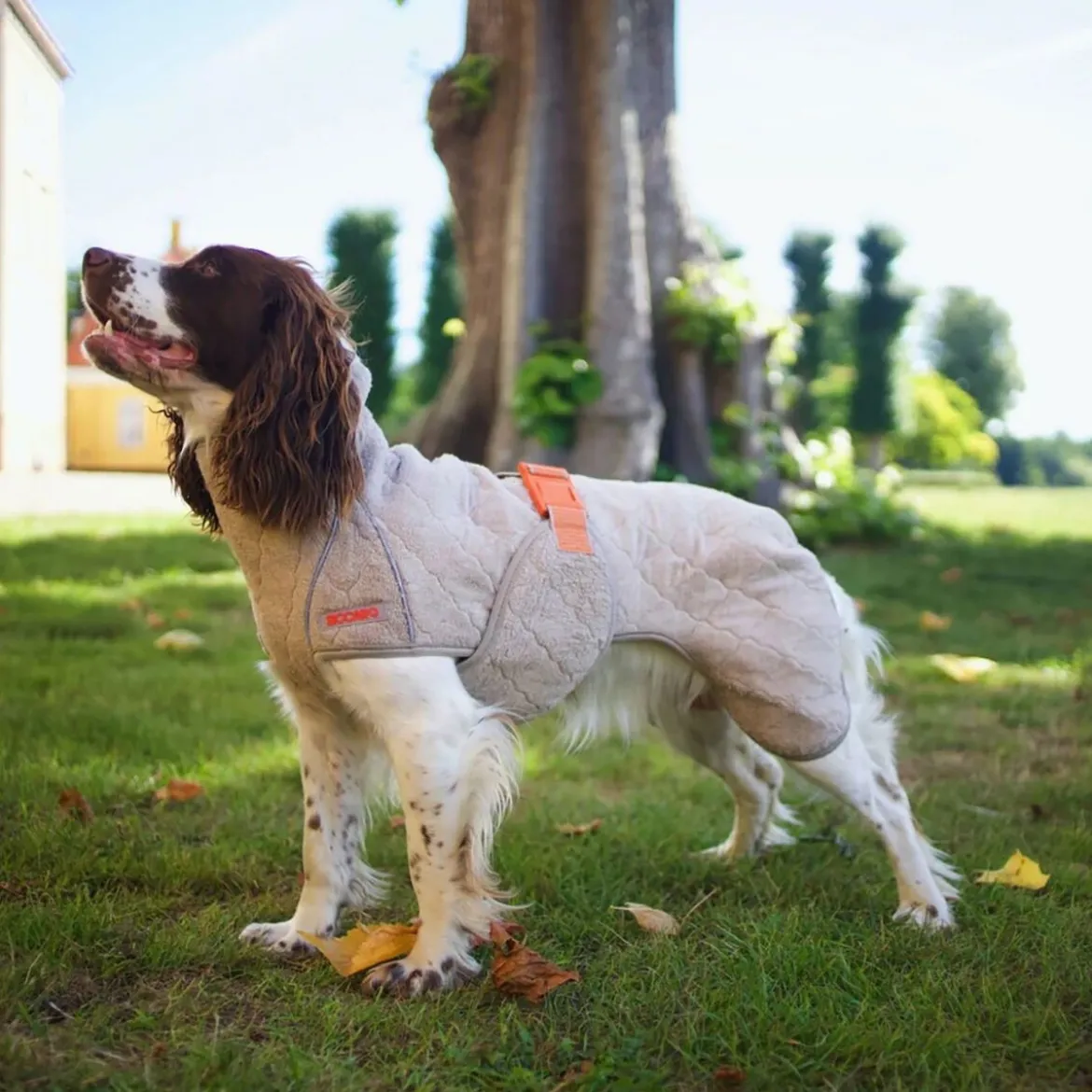 Siccaro Supreme 2.0 Badrock till Hund Beige