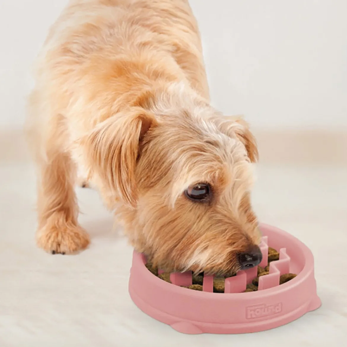 Slow feeder hundmatskål: Outward Hound Slow Feeder Wave, 14 cm
