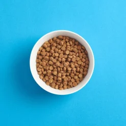 Smaak Kitten Kyckling