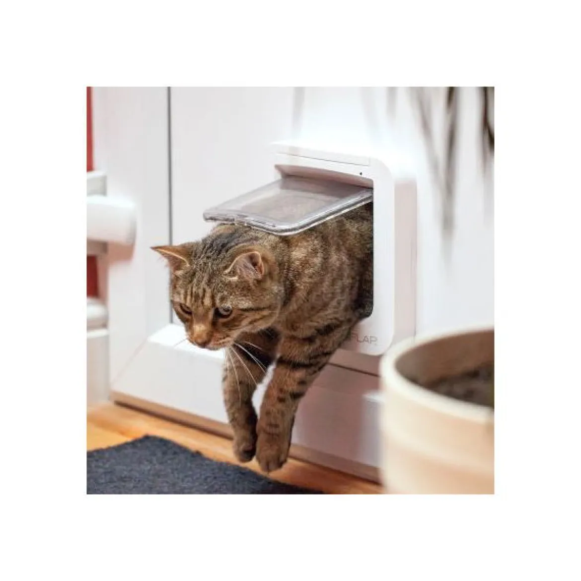Sureflap Kattlucka med Microchip Vit