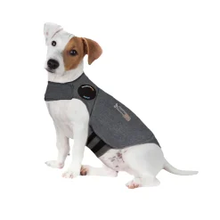 Thundershirt till Hund