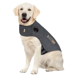 Thundershirt till Hund