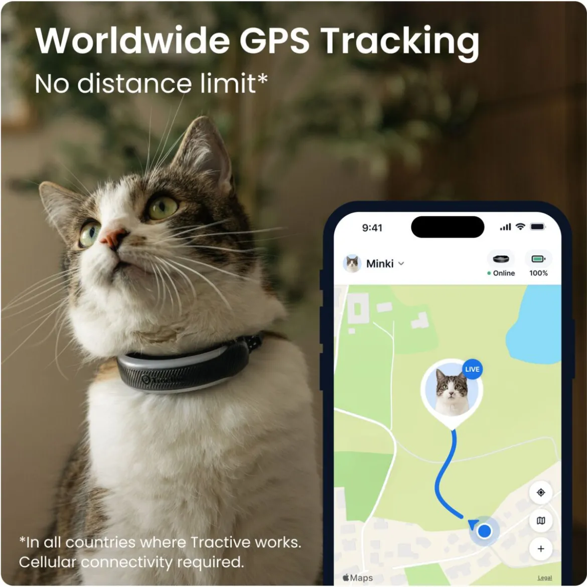 Tractive Cat 6 Mini GPS till Katt