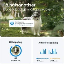 Tractive GPS & Health Tracker för Hundar Brun