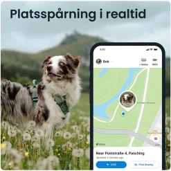 Tractive GPS Hund XL