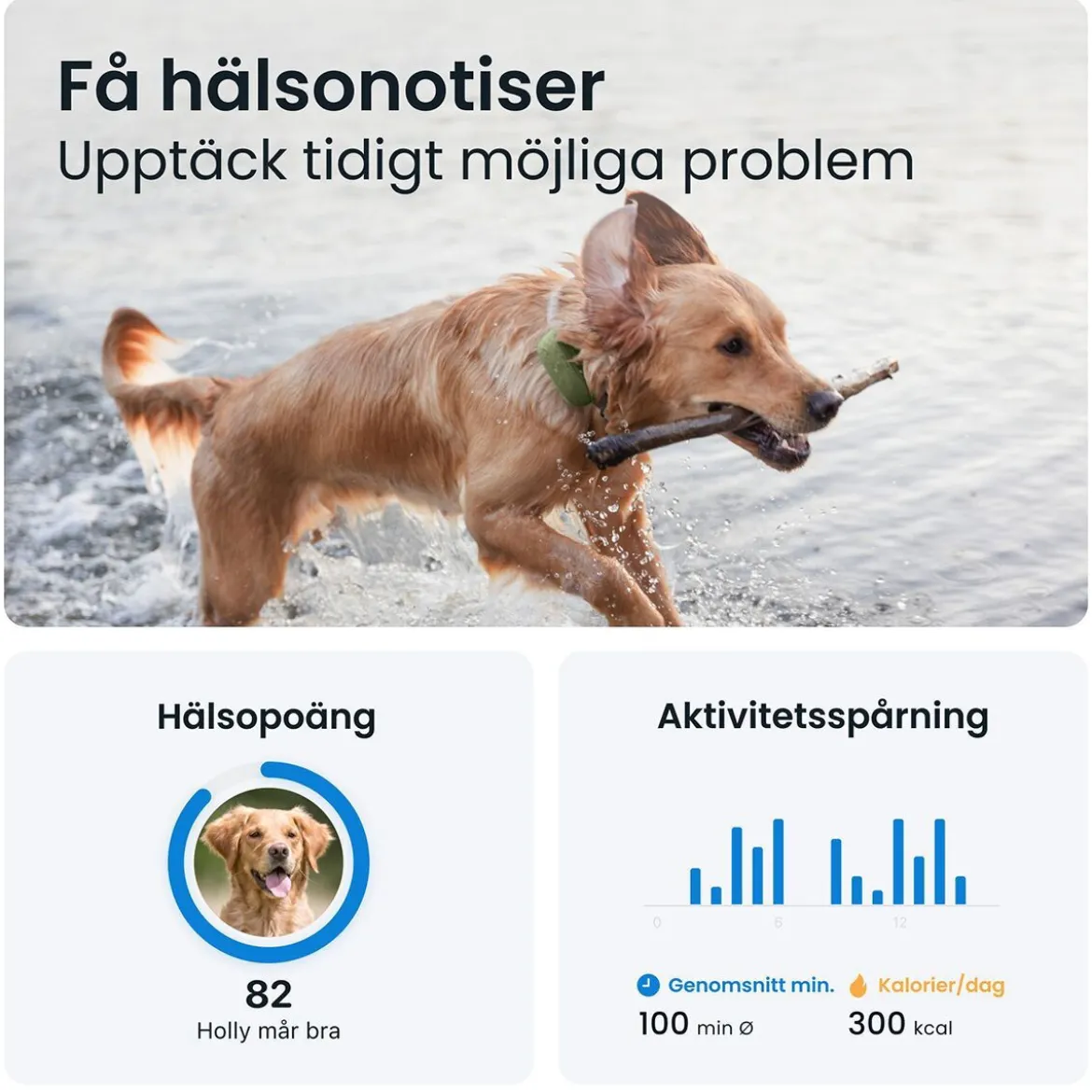 Tractive GPS Hund XL