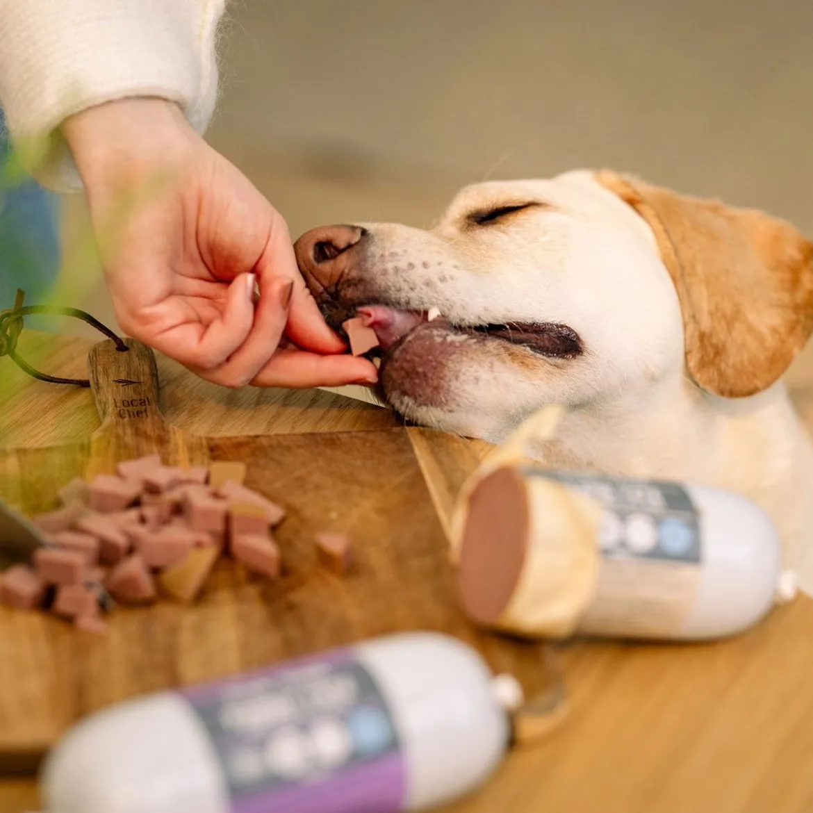 Trick&Treat Paté Anka 400 g