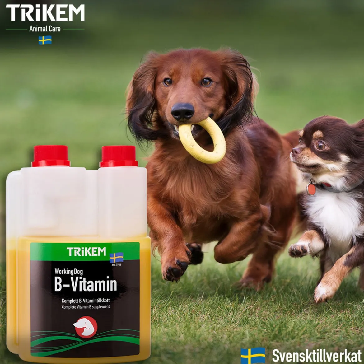 Trikem WorkingDog B-Vitamin 500 ml