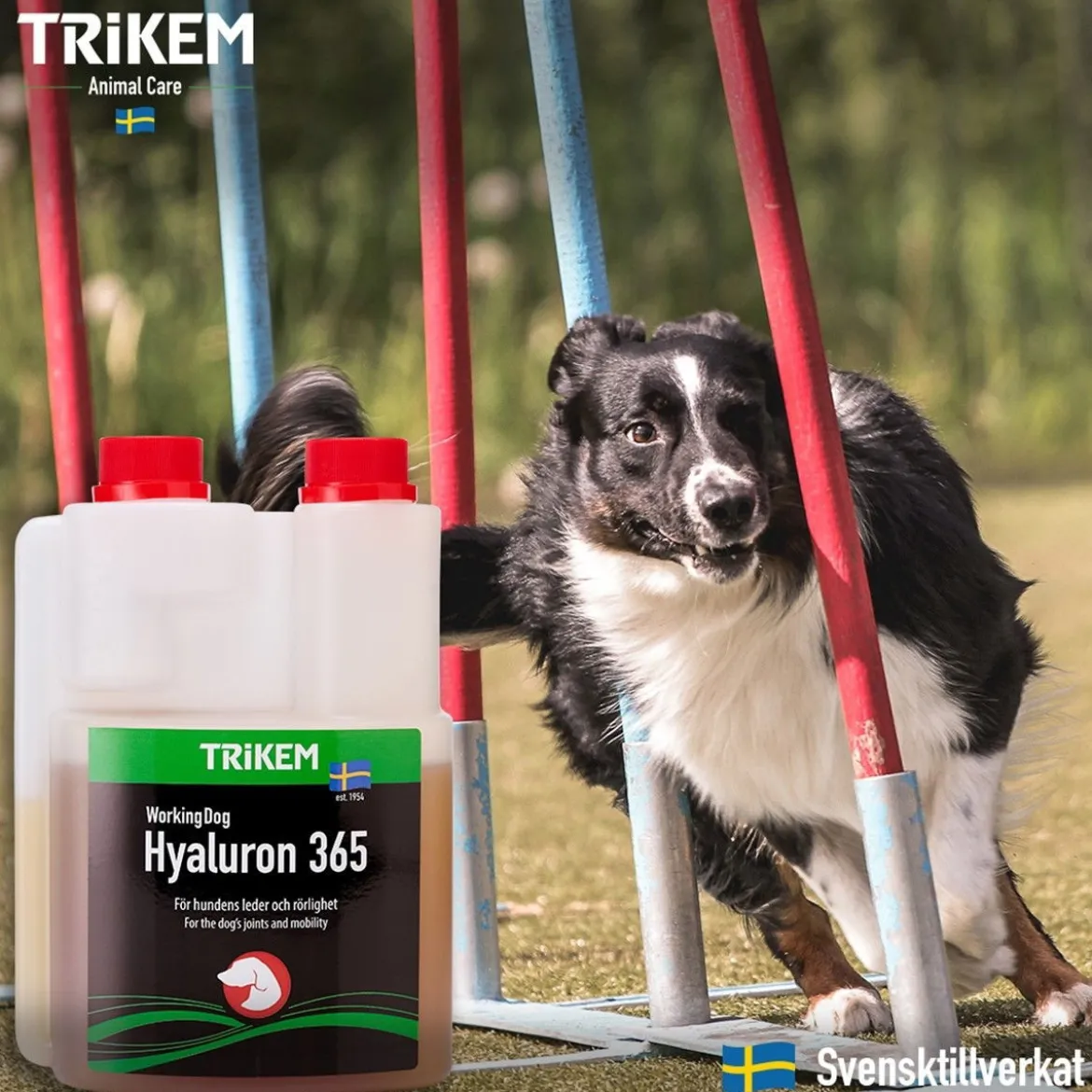 Trikem WorkingDog Hyaluron 365