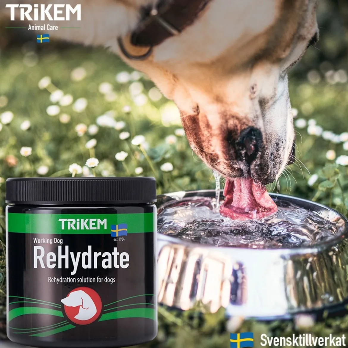 Trikem WorkingDog Rehydrate 400 g