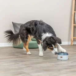 Trixie Activity Buzzer Hundgodisdispenser
