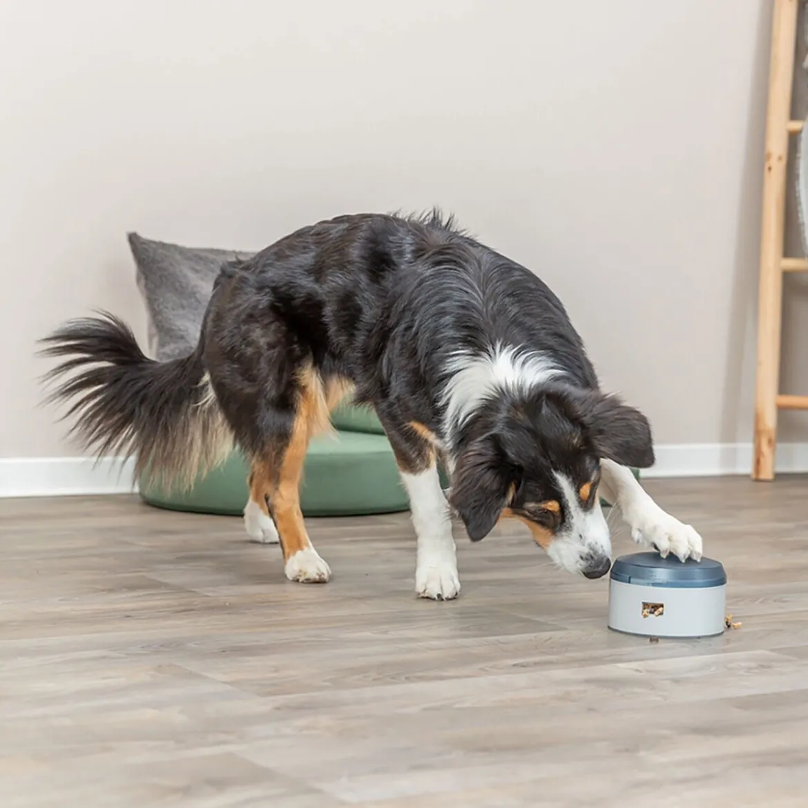 Trixie Activity Buzzer Hundgodisdispenser