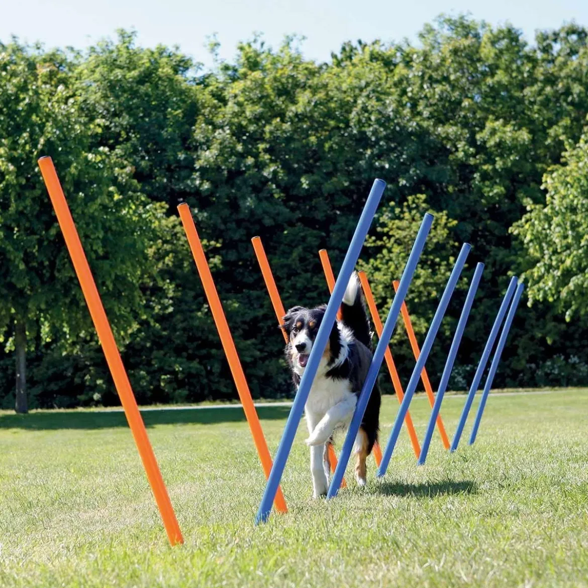 Trixie Agility Slalompinnar 12-pack