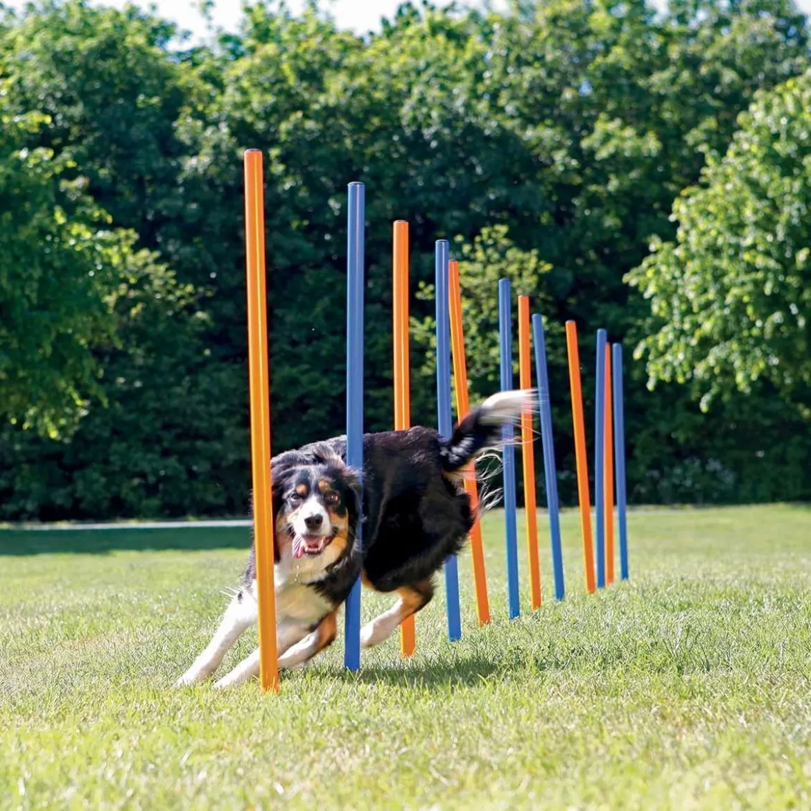 Trixie Agility Slalompinnar 12-pack
