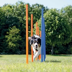 Trixie Agility Slalompinnar 12-pack