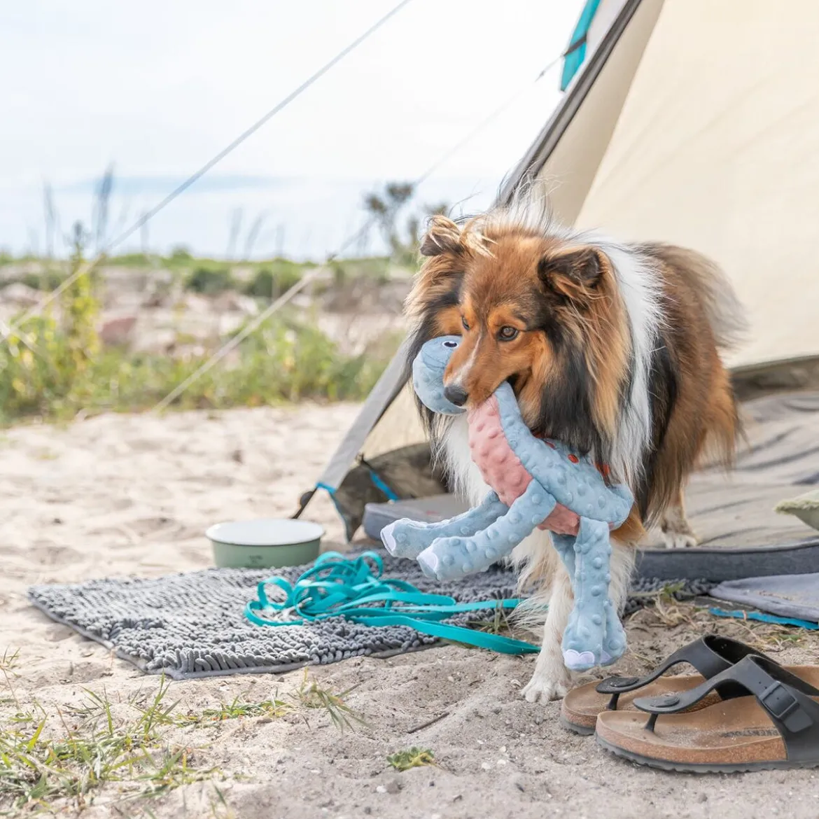 Trixie Dinosaurie Blå Mjukisdjur till Hund 38 cm