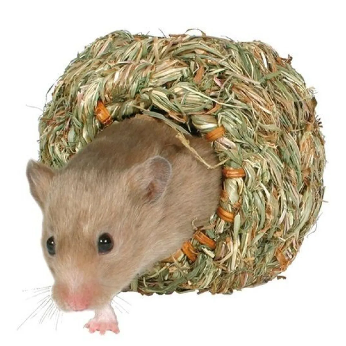 Trixie Hamster Höhus 10 cm