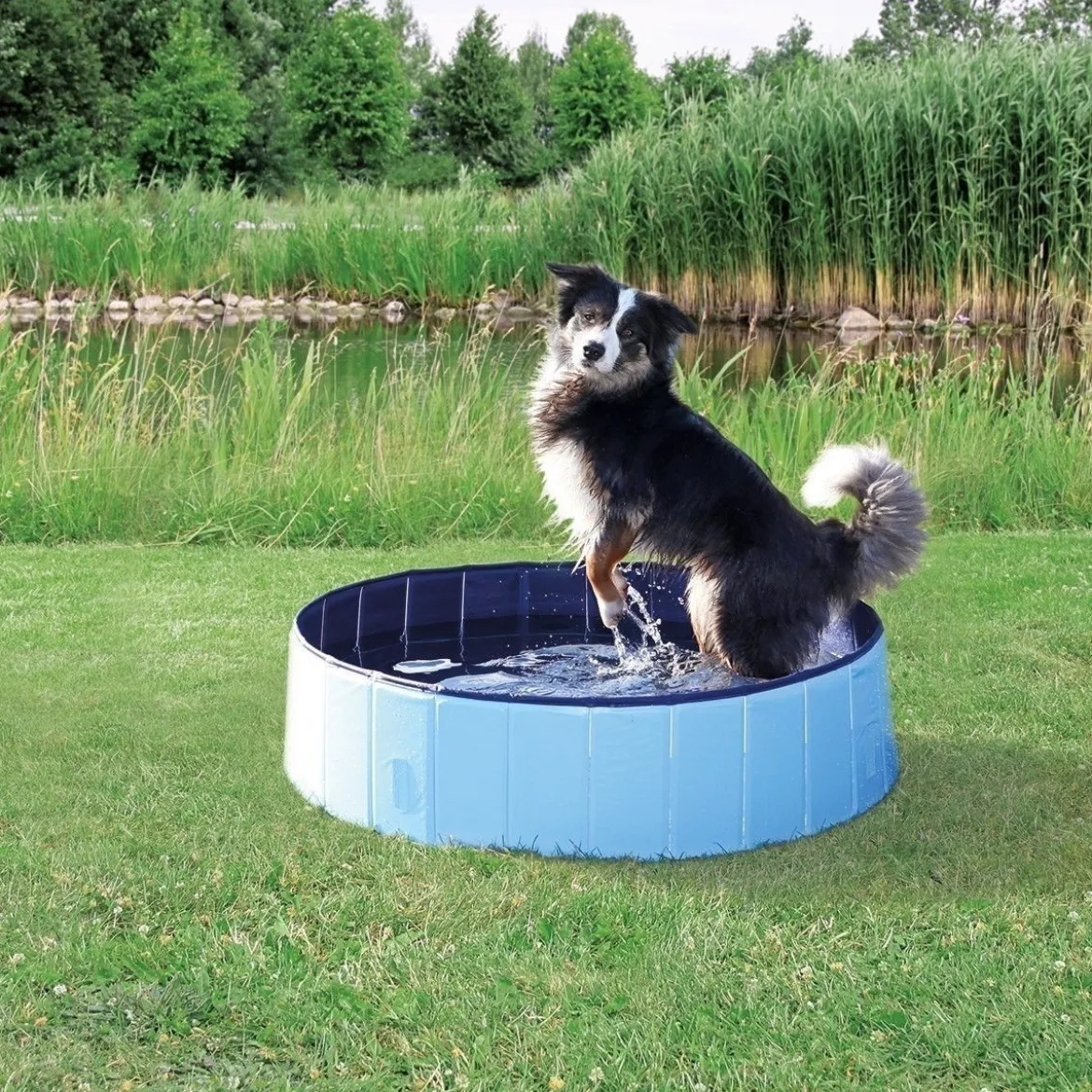 Trixie Hundpool