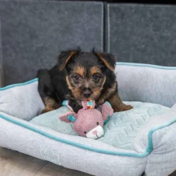 Trixie Junior Valpleksak Kanin med Prassel