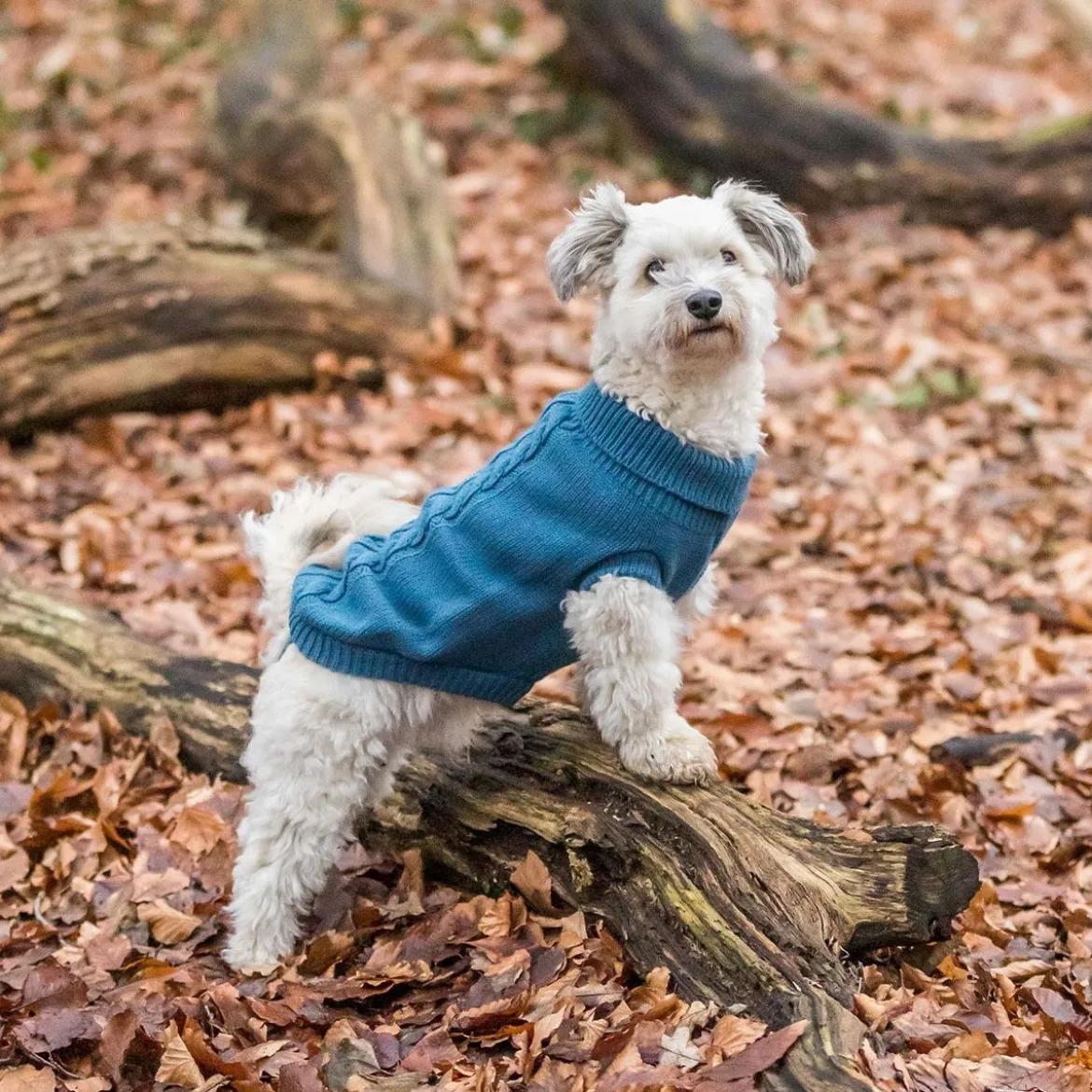 Trixie Kenton Hundtröja Blå