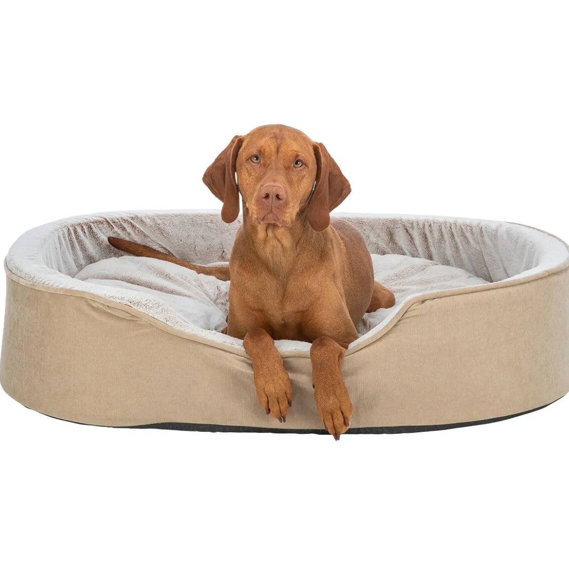 Trixie Lino Soft Vital Ortopedisk Hundbädd Beige
