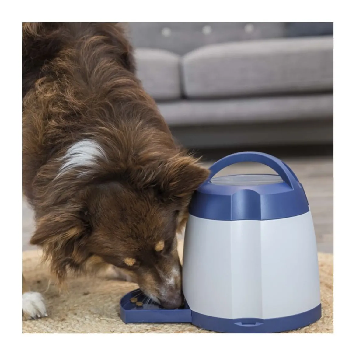 Trixie Memory Trainer Aktiveringsleksak